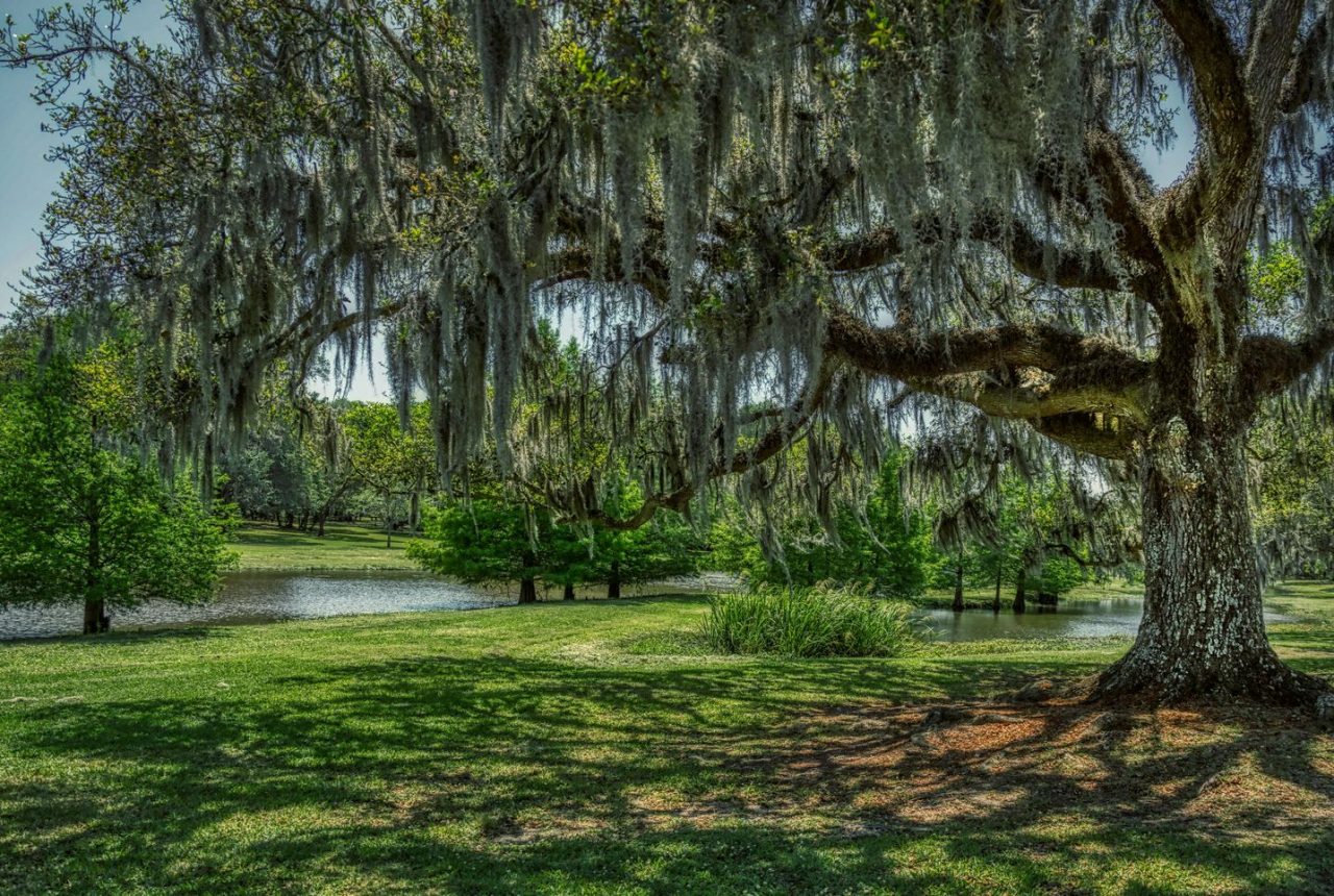 Lafayette · Cajun Country · New Orleans (218 Km)