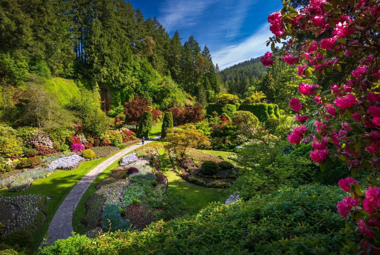 Tofino · Butchart Gardens · Victoria (317 Km)