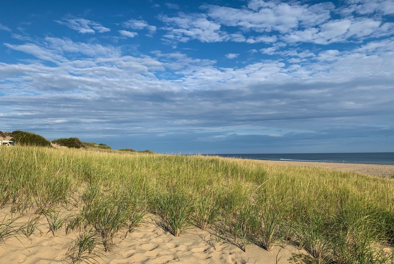 Le dune e la spiaggia di Cape Cod