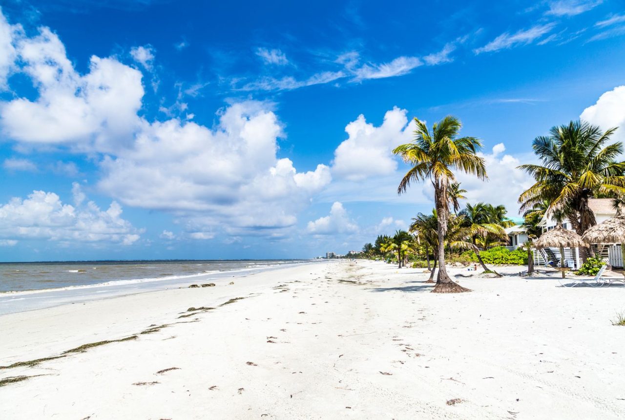 Sarasota · Ft Myers · Miami Beach (369 Km)