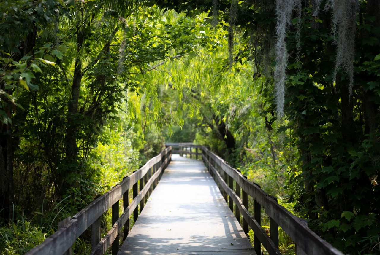 Baton Rouge · Lafayette (121 Km)