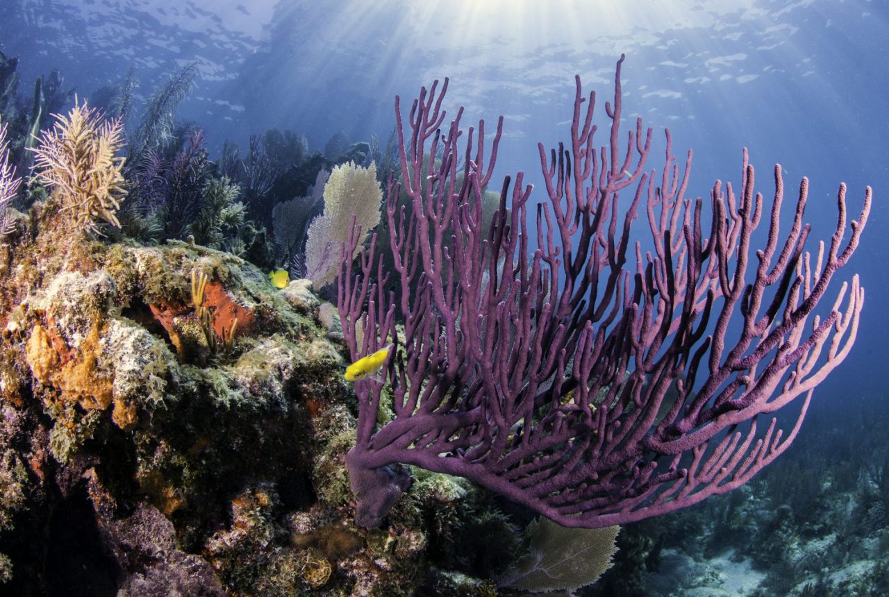 Key West · Key Largo (164 Km)