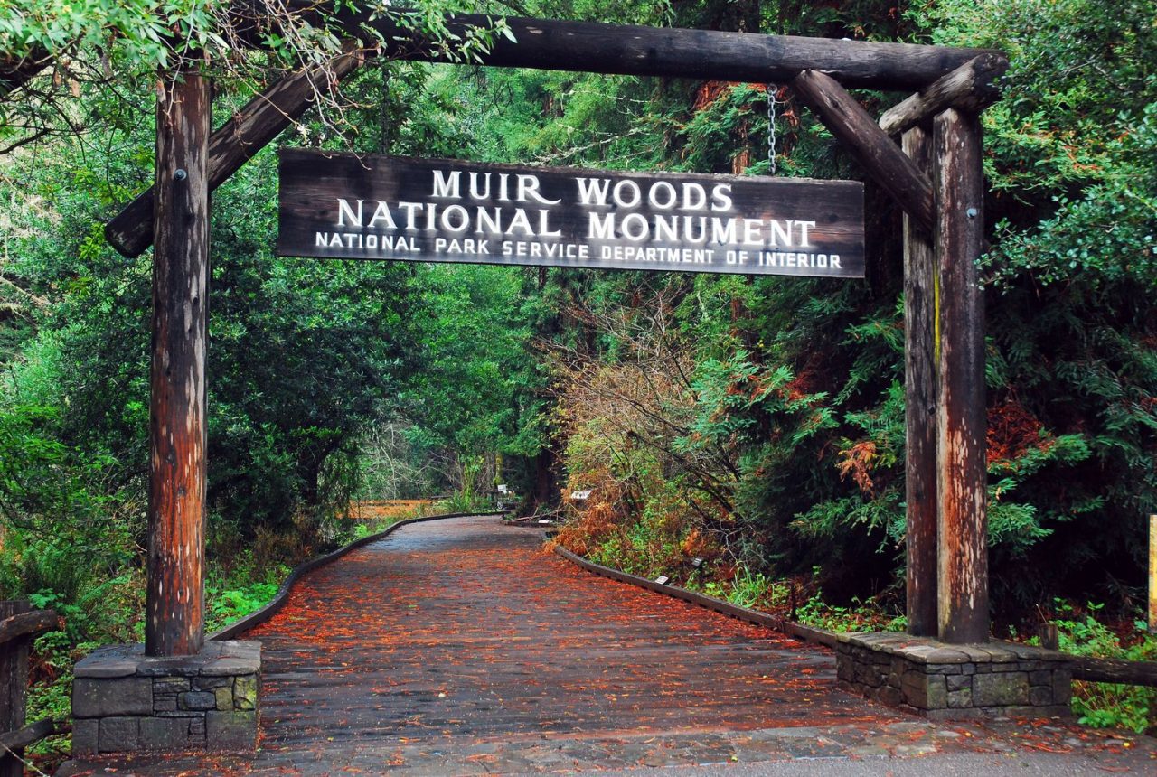 Napa · Muir Woods · San Francisco (87 Km)