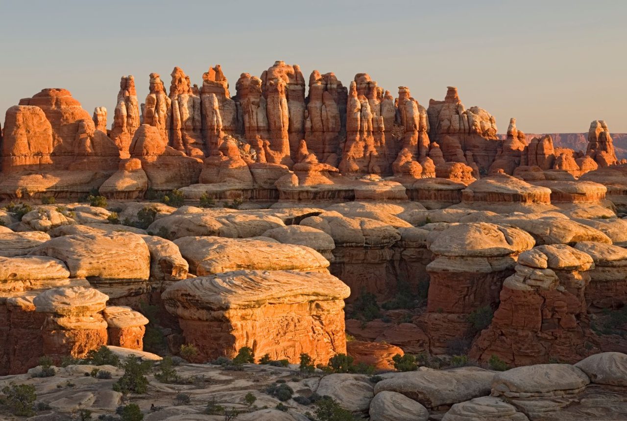 Le guglie del distretto Needles, nel Canyonlands National Park