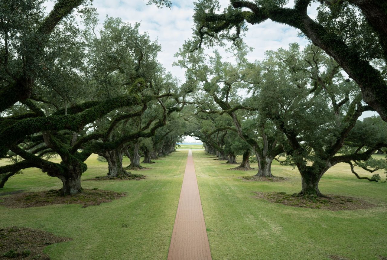 Houmas House Plantation