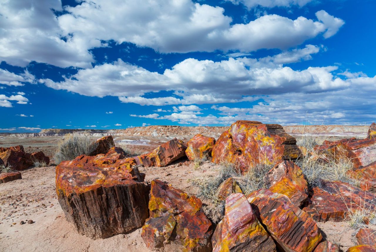 Albuquerque · Gallup · Holbrook (145 Km)