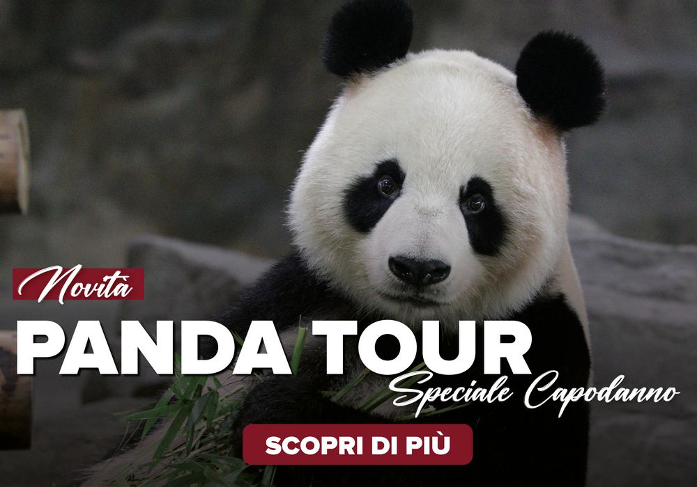 panda tour capodanno