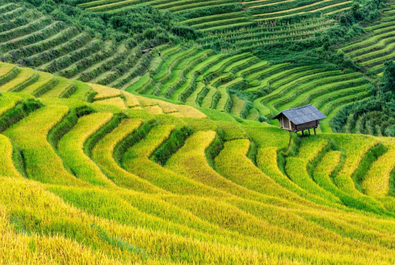 Le risaie a terrazze di Longsheng
