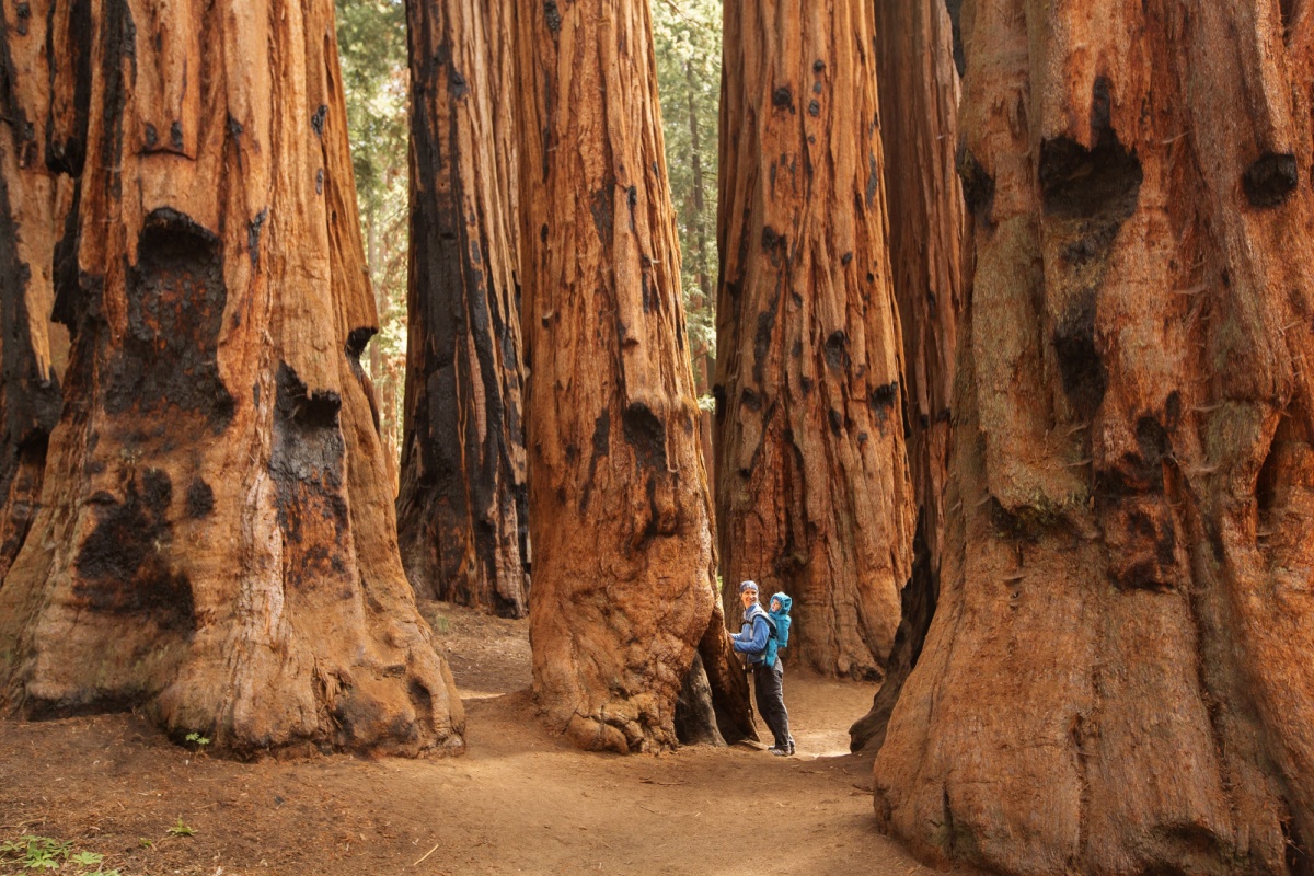 Mammoth Lakes · Yosemite · Modesto