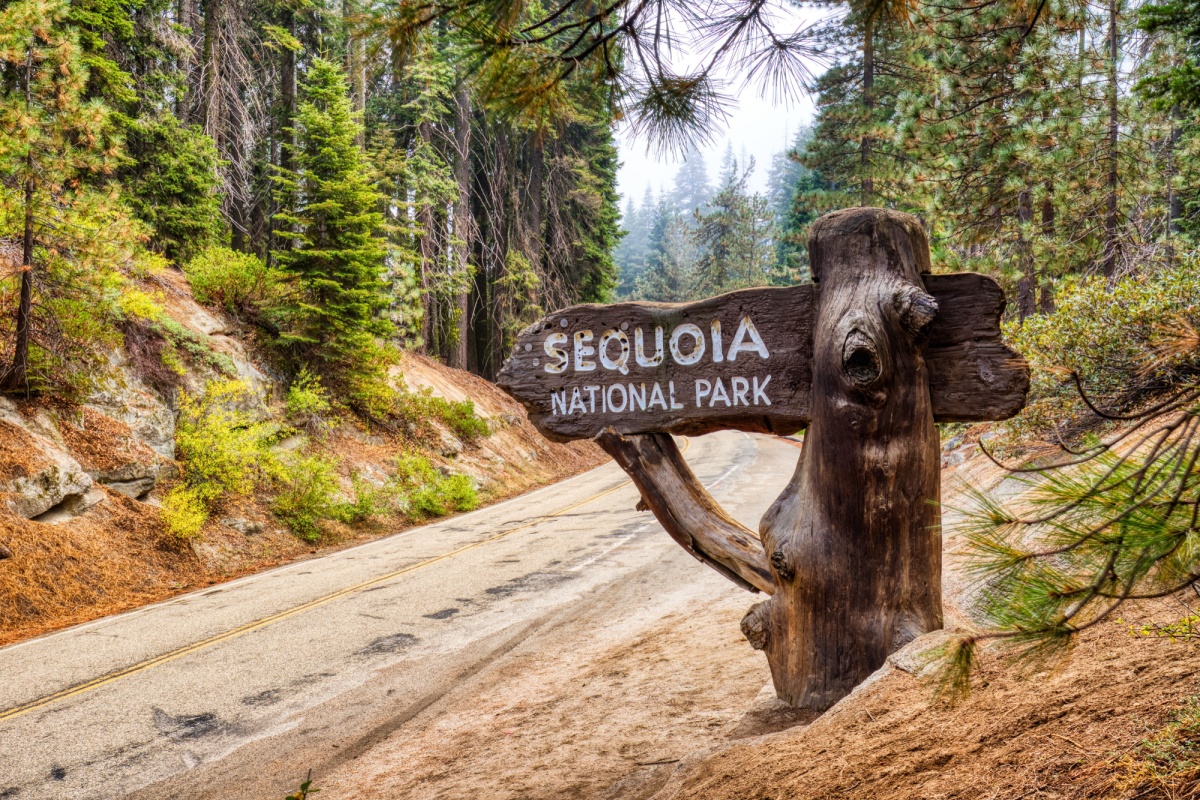 Fresno · Sequoia · Bakersfield (179 Km)
