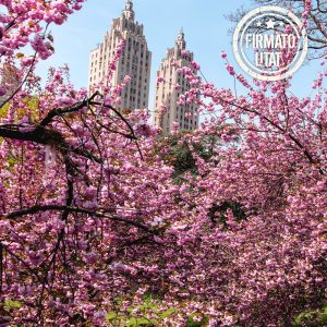 viaggio di gruppo new york