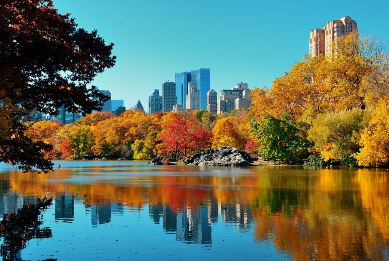 New York · Italia