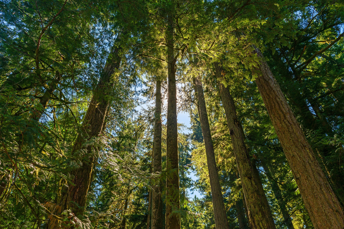 Vancouver