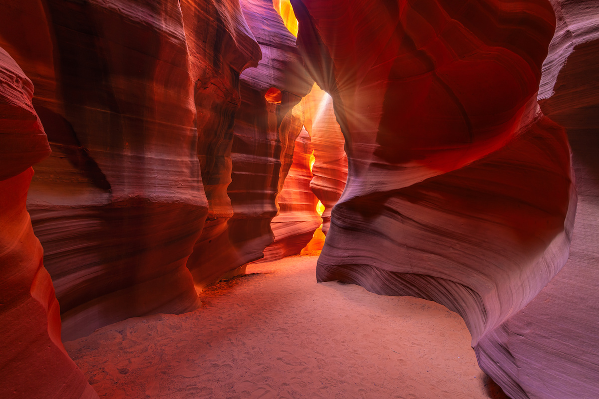 Due miliardi di anni nella roccia! Tutto sul Grand Canyon, dalla storia alle curiosità 

 

Sai che affacciarti sul bordo del Grand Canyon significa avere davanti agli occhi quasi due miliardi di anni di storia della Terra? Il Grand Canyon e la sua storia non cominciano con l'uomo, cominciano con l'acqua.  

 

Circa sei milioni di anni fa il fiume Colorado ha iniziato a incidere l'altopiano dell'Arizona settentrionale e, scendendo, ha riportato alla luce strati di roccia sempre più antichi, fino a quelli formatisi quasi due miliardi di anni fa. Il risultato è una gola lunga 446 chilometri, profonda fino a 1.857 metri e larga da 500 metri a 29 chilometri. 

 

I numeri, però, raccontano solo metà del viaggio. L'altra metà appartiene a chi in questa gola vive da almeno diecimila anni, a chi ci è arrivato per caso cercando tutt'altro e a chi si è battuto perché restasse così com'è. 

 

Nei prossimi paragrafi ripercorreremo insieme la storia di questa splendida gola, e ti sveleremo cinque curiosità da conoscere prima di partire. 

 

Come si è formato il Grand Canyon? La sua storia 

 

 

 

Il canyon si apre nell'angolo sud-occidentale del Colorado Plateau, l'altopiano che attraversa Arizona, Utah, Colorado e Nuovo Messico. La sua forma nasce da due movimenti opposti, la terra che si solleva e il fiume che scava. 

 

Il sollevamento viene prima. Circa 75 milioni di anni fa la stessa spinta che ha costruito le Montagne Rocciose ha alzato l'altopiano di alcuni chilometri, dando al Colorado la pendenza per incidere la roccia. Il fiume, però, non taglia la pietra da solo. Durante le piene trascina massi e ghiaia sul fondo, ed è quel materiale a lavorare come uno scalpello. 

 

Quanti anni ha allora? I geologi ne discutono ancora. Uno studio pubblicato su Nature Geoscience nel 2014 ha mostrato che alcuni tratti erano già incisi oltre 50 milioni di anni fa, mentre i due segmenti decisivi si sono formati meno di sei milioni di anni fa. 

 

Comunque sia andata, il risultato si legge come un libro sfogliato al contrario. Più si scende, più si va indietro nel tempo. Procedendo in questo senso, gli strati che si incontrano sono: 

 

gli strati sedimentari superiori. Calcari, arenarie e argilliti depositati nel corso del Paleozoico da mari poco profondi, dune desertiche e paludi costiere; 

la Great Unconformity. Un contatto netto tra rocce di età molto diverse, dove manca all'appello un lunghissimo capitolo geologico. È uno degli enigmi più studiati al mondo; 

le rocce del basamento. Sul fondo, vicino al fiume, gli scisti e i graniti più antichi del canyon, formatisi quasi due miliardi di anni fa. 

 

I colori che si vedono dal bordo, dal rosso all’ocra e al grigio dipendono dalla composizione di questi strati e dal ferro che li attraversa. Cambiano con la luce, e per questo il canyon delle otto del mattino non è il canyon delle sei di sera. 

 

Lo stesso sollevamento dell'altopiano che ha permesso al Colorado di lavorare così in profondità ha modellato, poco più a nord, gli archi naturali dello Utah e le guglie che si incontrano lungo i sentieri del Bryce Canyon. La roccia, però, è solo il primo capitolo. 

 

Chi ha scoperto il Grand Canyon? Dai nativi americani a John Wesley Powell 

 

 

 

Quando si parla del Grand Canyon e della sua storia, la domanda su chi lo abbia scoperto ha una risposta scomoda: nessuno lo ha scoperto, perché qualcuno c'era già. Le persone abitano questa gola da più di diecimila anni. Oggi, infatti, il National Park Service riconosce 11 tribù tradizionalmente associate al Grand Canyon, tra cui Havasupai, Hualapai, Hopi, Navajo, Zuni, la Yavapai-Apache Nation e diverse bande Paiute. Qui hanno coltivato, cacciato, costruito villaggi e tramandato racconti, e qui continuano a vivere. 

 

Il primo europeo ad affacciarsi sul canyon fu lo spagnolo García López de Cárdenas, nel 1540. Faceva parte della spedizione di Coronado e cercava il grande fiume di cui parlavano gli Hopi. Trovò un ostacolo, non una meraviglia, e dopo di lui la gola rimase quasi ignorata per tre secoli. 

 

Il vero cambio di sguardo arriva nel 1869 con John Wesley Powell, maggiore e geologo, veterano della Guerra Civile. Con quattro barche e nove uomini scese il fiume Colorado attraverso il canyon: fu la prima spedizione documentata a percorrerlo per intero. Powell descrisse le rocce esposte come le "pagine di un grande libro di storia", e fu lui a diffondere il nome con cui oggi lo conosciamo. 

 

La sua impresa aprì la strada a geologi, fotografi e infine viaggiatori. Fu il momento in cui il canyon smise di essere un problema da aggirare e cominciò a essere un luogo da attraversare, lo stesso passaggio che, in altri territori del West, ha segnato i luoghi della storia dei nativi americani. 

 

Dal 1893 al parco nazionale, storia del Grand Canyon e della sua tutela 

 

 

 

Diventare parco nazionale non fu né rapido né scontato. Per decenni la gola interessò soprattutto i cercatori di rame e uranio, e le compagnie minerarie fecero muro contro ogni ipotesi di protezione integrale. 

 

Theodore Roosevelt la visitò nel 1903 e ne uscì convinto: quel paesaggio andava lasciato com'era. Usò l'Antiquities Act per dichiararlo monumento nazionale nel 1908, ma servirono ancora undici anni prima che il Congresso lo trasformasse in parco. 

 

Il 26 febbraio 1919 il presidente Woodrow Wilson firmò il Grand Canyon National Park Act, trasformando il canyon nel diciassettesimo parco nazionale degli Stati Uniti.   

 

Da allora il perimetro si è ampliato e il riconoscimento è cresciuto. Oggi il parco supera i 4.900 chilometri quadrati e nel 2024 ha accolto 4.919.163 visitatori: resta il cuore di ogni itinerario tra i grandi parchi americani. 

 

5 curiosità sul Grand Canyon da conoscere prima di partire 

 

 

 

Conoscere la storia del Grand Canyon è importante, ma alcune cose si capiscono solo quando qualcuno te le racconta sul posto. Sono i dettagli che raramente si trovano nelle guide e che, una volta noti, cambiano quello che vedi dal bordo: un nome, una data, un vuoto tra due strati di roccia. Ecco, allora, 5 curiosità che vale la pena di conoscere prima di partire. 
 

Non è il canyon più profondo del mondo. Altre gole scendono più in basso: il primato del Grand Canyon sta nell'insieme di lunghezza, larghezza e profondità, non in un singolo record. 

I due bordi sono due mondi diversi. Il South Rim, intorno ai 2.100 metri, è il più accessibile e aperto tutto l'anno. Il North Rim supera i 2.400 metri, è più fresco, molto meno frequentato e chiude nei mesi invernali per la neve. 

Il capitolo che manca. Lungo la Great Unconformity due strati che si toccano sono separati da un abisso di tempo: geologi da tutto il mondo continuano a studiare dove sia finita la roccia mancante. 

A dare i nomi fu un uomo con un braccio solo. Powell aveva perso il braccio destro nella battaglia di Shiloh. Molti punti panoramici del bordo sud portano invece i nomi delle tribù native: Hopi Point, Navajo Point, Yavapai Point, Mohave Point. 

Un nome restituito. Nel 2023 l'oasi lungo il Bright Angel Trail, per decenni chiamata Indian Garden, è tornata a chiamarsi Havasupai Gardens, su richiesta della tribù che vi coltivava fino agli anni Venti. 

 

Dal bordo sud tutto questo si legge in un colpo d'occhio, e ogni affaccio ha la propria luce e la propria ora: i punti panoramici del Grand Canyon meritano tempo, non fretta.  

 

In viaggio nel Grand Canyon con Utat: due itinerari per viverlo 

 

 

Leggere curiosità sul Grand Canyon, la storia e la sua formazione geologica è una cosa. Sentirla sotto i piedi, con qualcuno accanto che sa spiegarti cosa stai guardando, è un'altra. Noi di UTAT accompagniamo i viaggiatori negli Stati Uniti da oltre novant'anni e conosciamo direttamente i luoghi che proponiamo.  

 

Nel nostro catalogo il canyon è tappa di due itinerari pensati per esigenze diverse: 

 

Golden West USA — quattordici giorni da Los Angeles a San Francisco. Oltre al Grand Canyon si attraversano Antelope Canyon, la Monument Valley con jeep tour condotto dai Navajo, Arches, Canyonlands, Bryce, la Death Valley e Yosemite; 

 

Parks Explorer — nove giorni e dieci parchi nazionali, da Los Angeles a Las Vegas. Una formula più compatta, per chi vuole concentrare in un solo viaggio Grand Canyon, Mesa Verde, Canyonlands e Zion. 

 

Se hai dubbi su quale dei due somigli di più al viaggio che hai in mente, contattaci: ne parliamo insieme e scegliamo il periodo giusto per partire. 

 

Glossario per il tuo viaggio 

 

Colorado Plateau. Vasto altopiano tra Arizona, Utah, Colorado e Nuovo Messico. Il suo lento sollevamento ha permesso al fiume di scavare tanto in profondità. 

South Rim. Il bordo meridionale del canyon, intorno ai 2.100 metri di quota: il più accessibile, servito e visitato, aperto tutto l'anno. 

North Rim. Il bordo settentrionale, oltre i 2.400 metri: più fresco e più appartato, chiuso ai visitatori nei mesi invernali. 

Great Unconformity. Il contatto tra rocce di età molto distanti visibile lungo le pareti, dove manca un lunghissimo intervallo di tempo geologico. 

Antiquities Act. Legge statunitense del 1906 che consente al Presidente di istituire monumenti nazionali senza passare dal Congresso. 