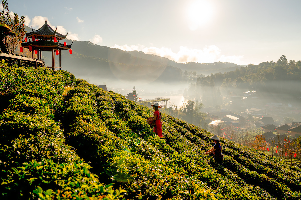 Cosa vedere nello Yunnan