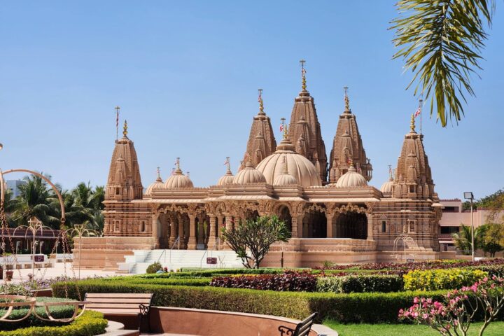 Viaggio in Gujarat • Nella Terra del Leone Asiatico