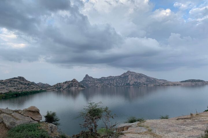 Rajasthan Segreto: Tigri, Leopardi e Terre dei Maharaja