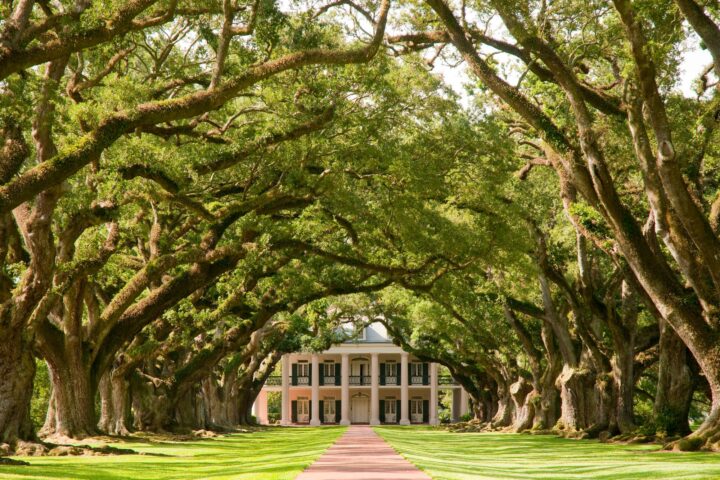 Piantagioni della Louisiana – Tour Fly & Drive USA