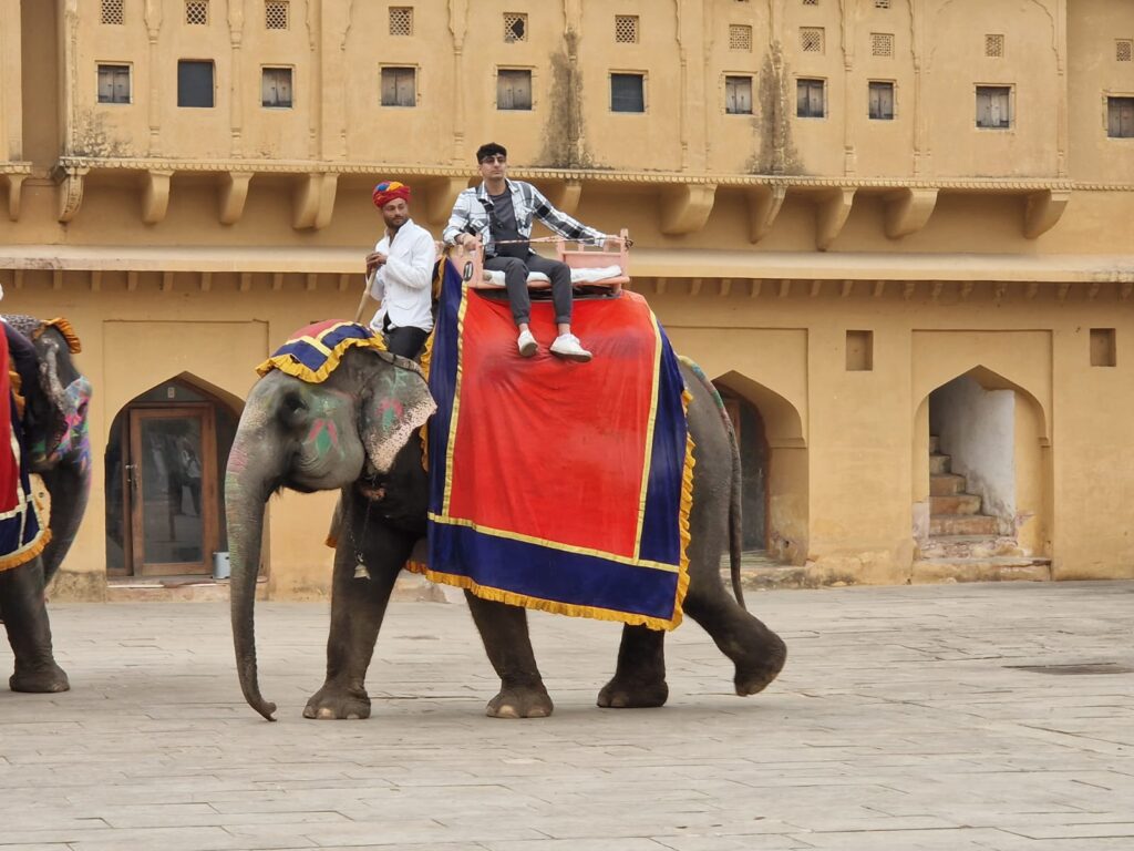 Gli elefanti bardati al Forte Amber, a Jaipur