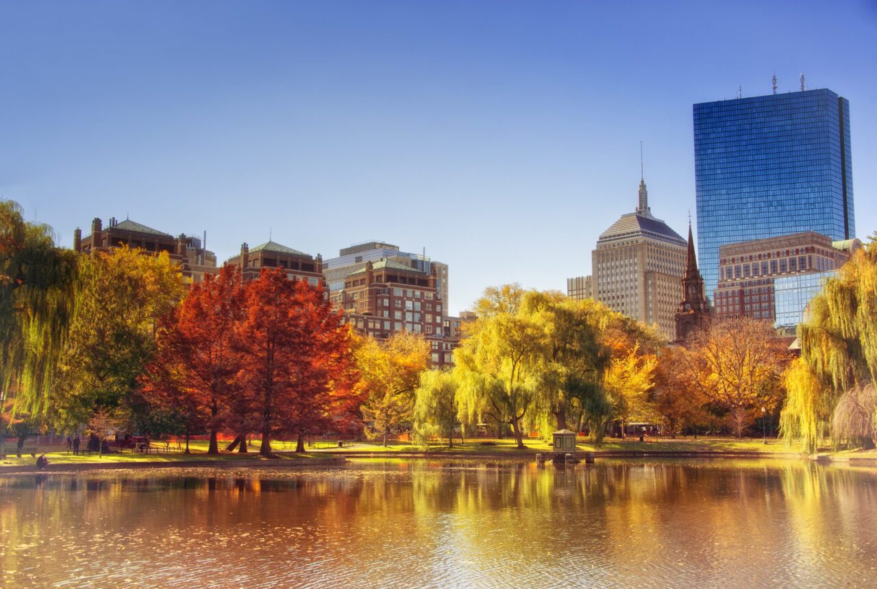 Boston e Massachusetts firmato Utat: Foliage, Balene, Storia e Letteratura