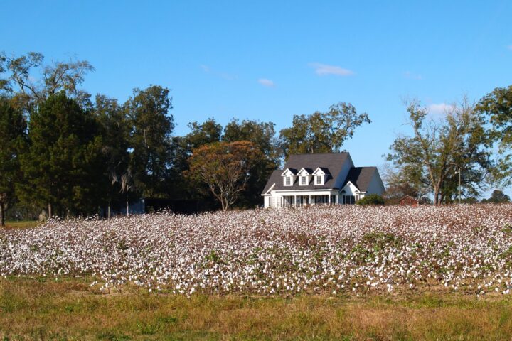Georgia & Alabama – Tour Fly & Drive USA