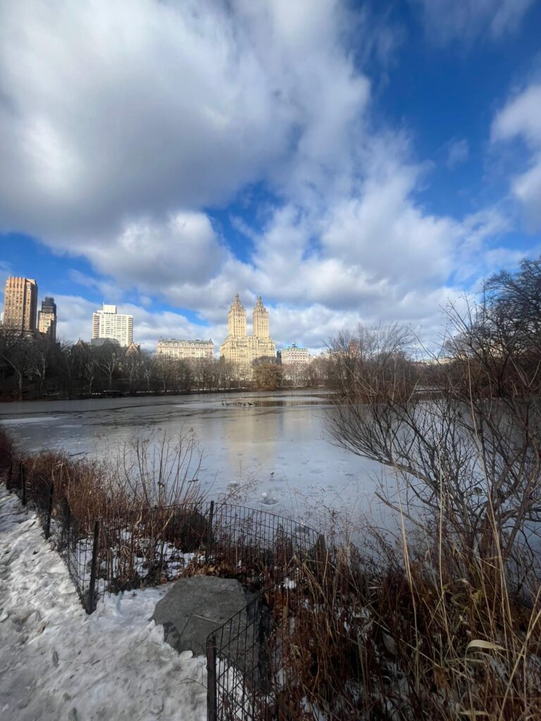 Il lago ghiacciato di Central Park e le torri del San Remo