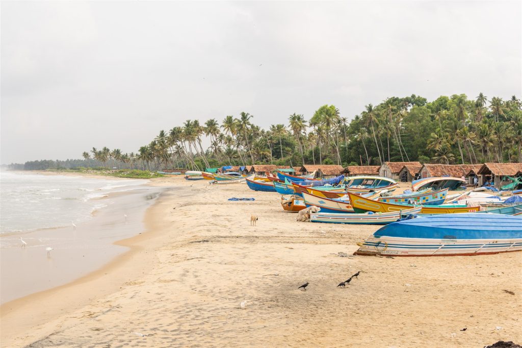 Le barche dei pescatori sulla spiaggia di Marari, Kerala
