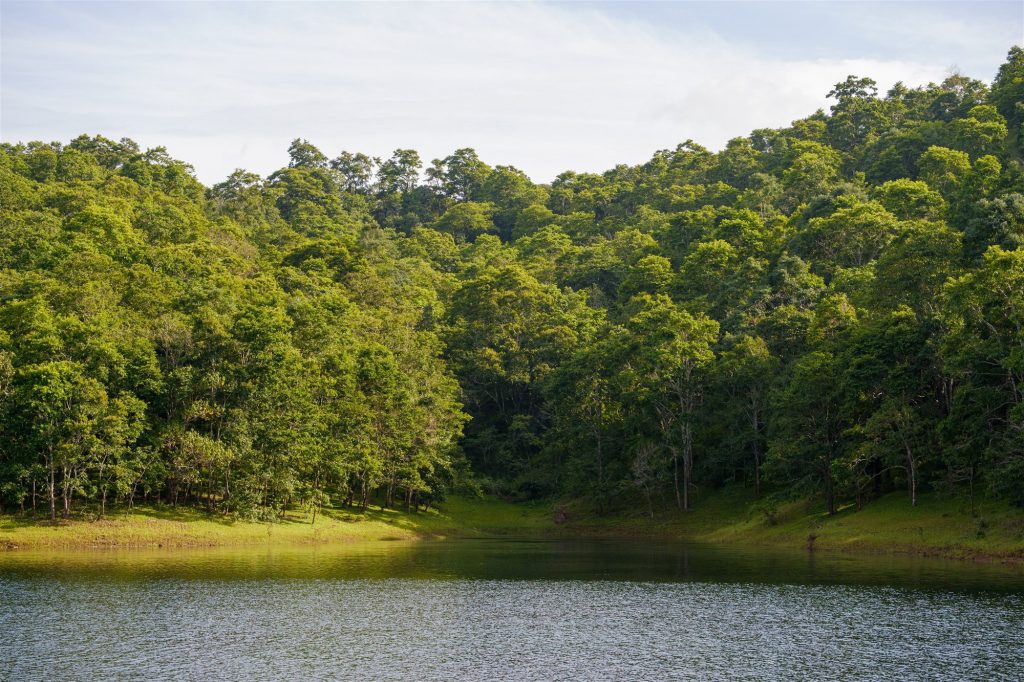 Lago Periyar, Thekkady