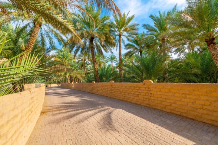 Al Ain