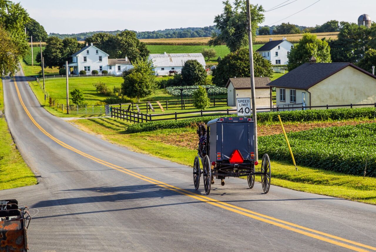 Un calesse amish nella campagna di Lancaster