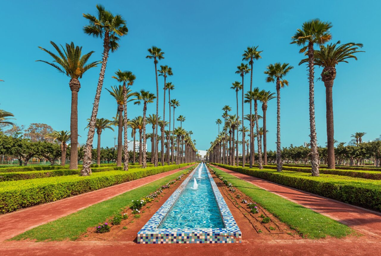Un viale alberato di Casablanca