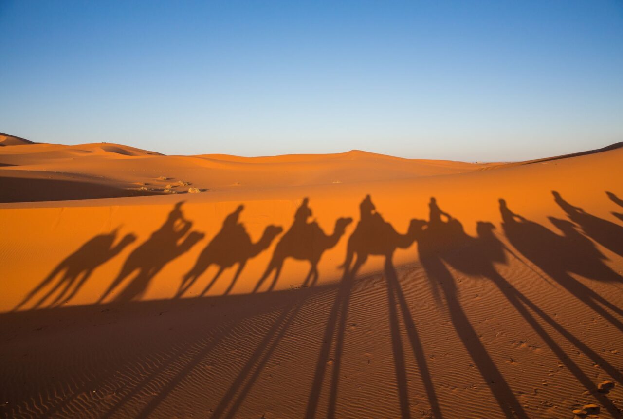 Una carovana di dromedari nel deserto dell’Oman