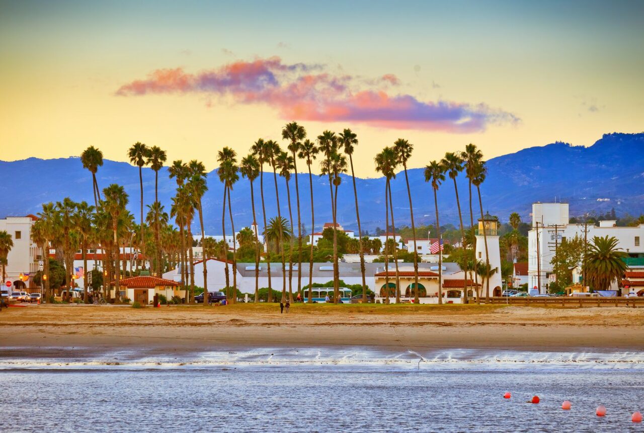Le palme di Santa Barbara