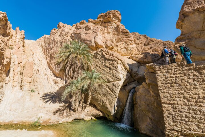 Tozeur e le oasi di montagna